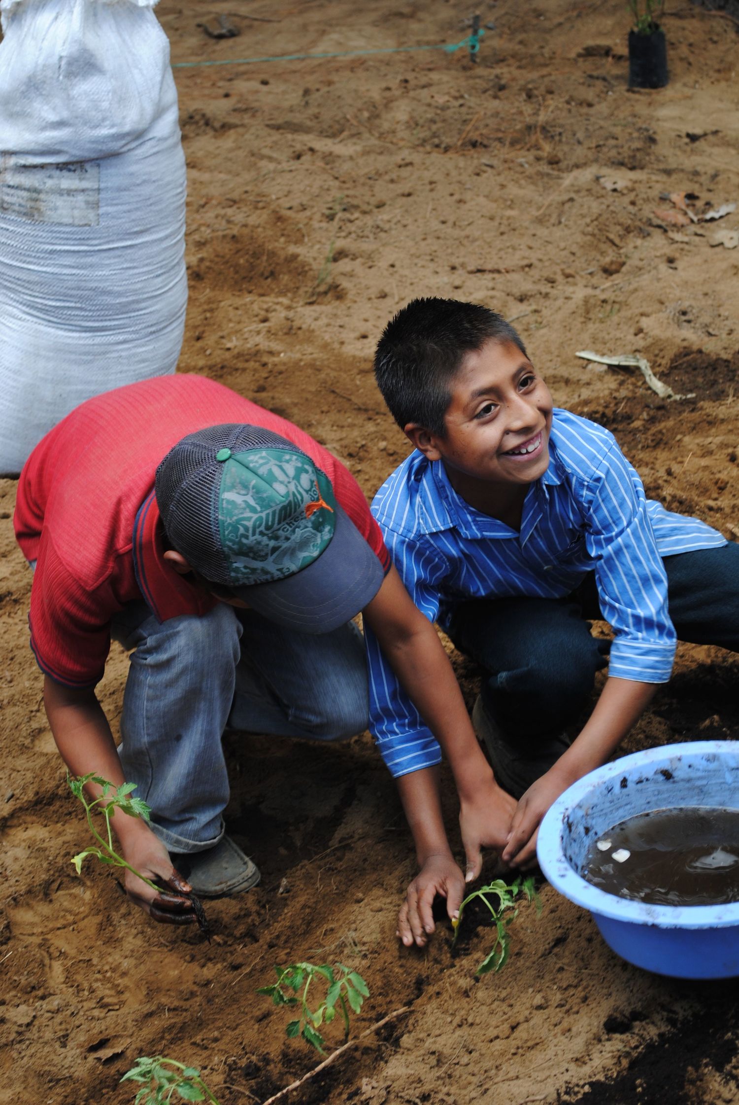 kids planting trees guatemala
